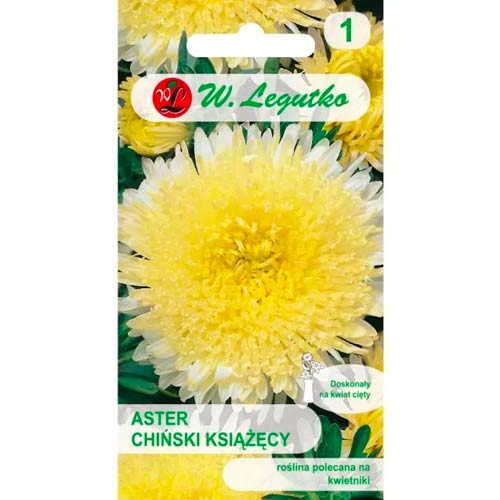 Aster gelb Legutko interface.image 1 interface.art 78513