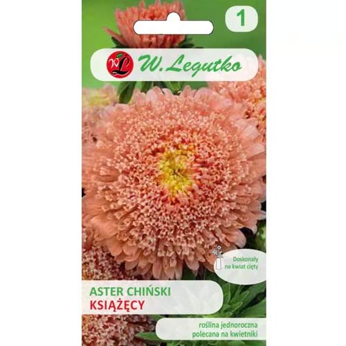 Aster hellrosa Legutko interface.art Bild 1 Aster hellrosa Legutko interface.image 1 interface.art 78514