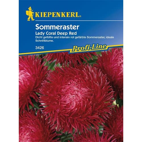 Sommeraster Lady Coral Deep Red interface.image 1 interface.art 86313