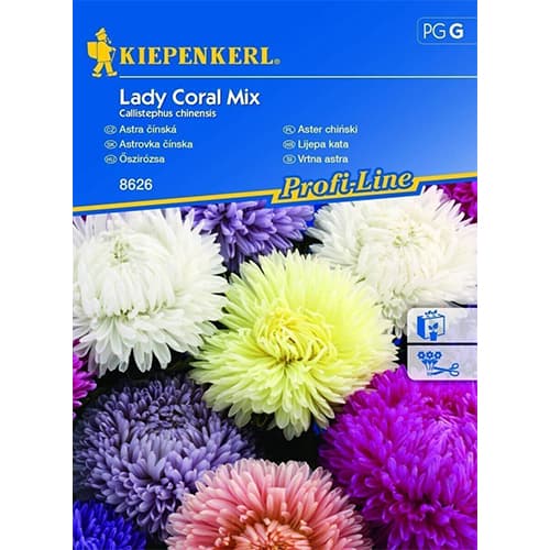 Sommeraster Lady Coral Mischung Kiepenkerl interface.image 1 interface.art 86241