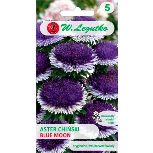 Aster Liliput Blue Moon Legutko interface.art Bild 1 Aster Liliput Blue Moon Legutko interface.image 1 interface.art 69561