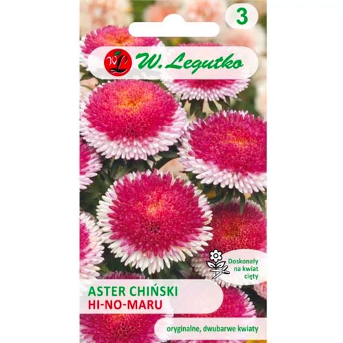 Aster Liliput Hi-no-Maru Legutko interface.image 1 interface.art 69562