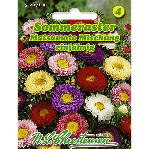 Sommeraster Matsumoto Mischung interface.image 1 interface.art 86133