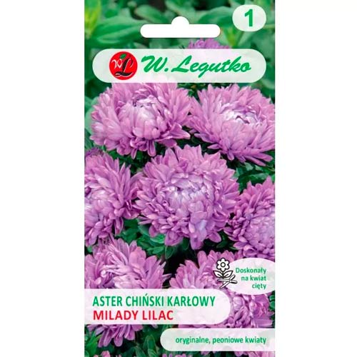 Aster Milady Lilac Legutko interface.image 1 interface.art 86809