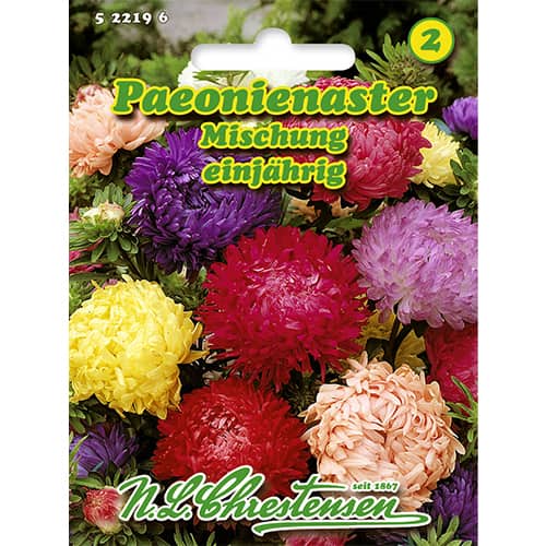 Peonienaster Mischung Chrestensen interface.image 1 interface.art 86135