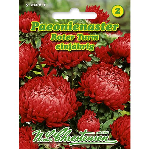 Paeonienaster Roter Turm interface.art Bild 1 Paeonienaster Roter Turm interface.image 1 interface.art 86136