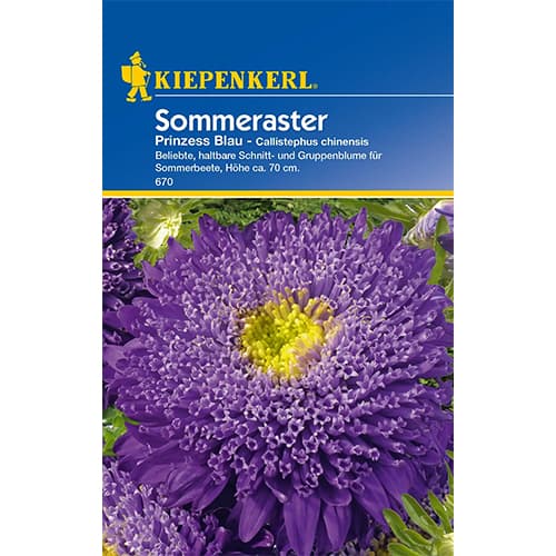 Sommeraster Prinzess Blau interface.art Bild 1 Sommeraster Prinzess Blau interface.image 1 interface.art 77427