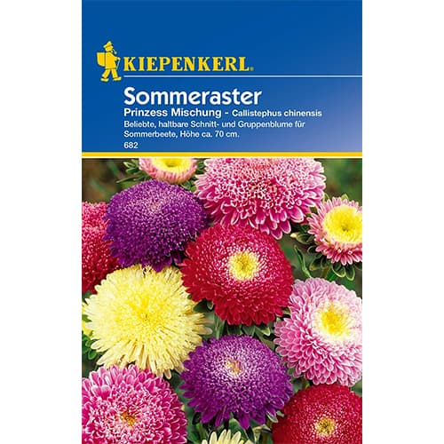 Sommeraster Prinzess Mischung interface.image 1 interface.art 86316