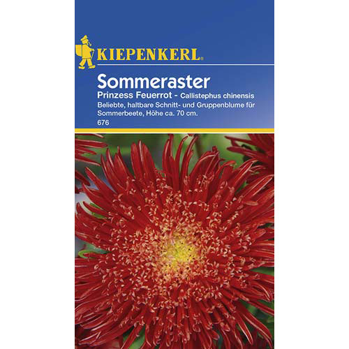 Aster Prinzess, rot interface.image 1 interface.art 77430