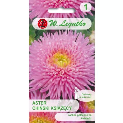 Aster rosa Legutko interface.image 1 interface.art 78515