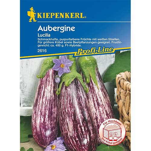 Aubergine Lucilla F1 interface.art Bild 1 Aubergine Lucilla F1 interface.image 1 interface.art 87273