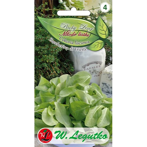 Baby Leaf - Blattzichorie Zuccherina di Trieste interface.image 1 interface.art 86705