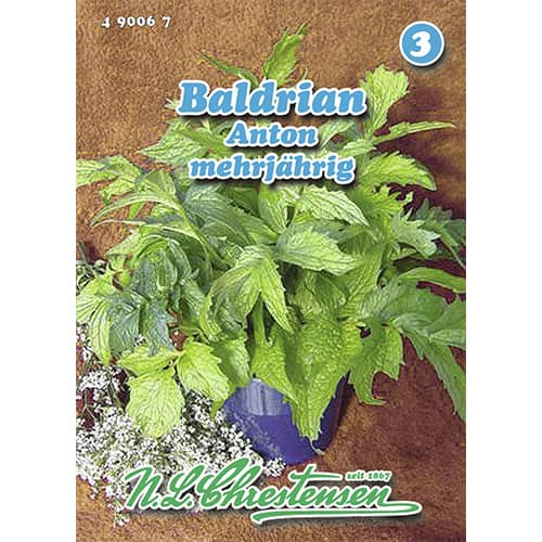 Baldrian Anton Chrestensen interface.image 1 interface.art 96463