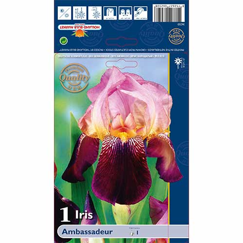 Bartiris (Iris) Ambassadeur interface.image 1 interface.art 76105