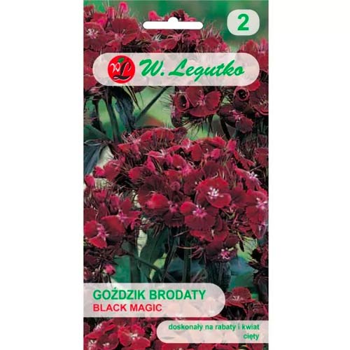 Bartnelke Black Magic Legutko interface.image 1 interface.art 69590