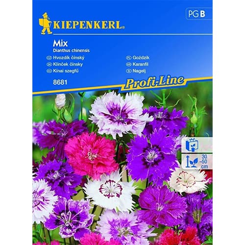 Bartnelke Maccarenia Mischung interface.image 1 interface.art 96562