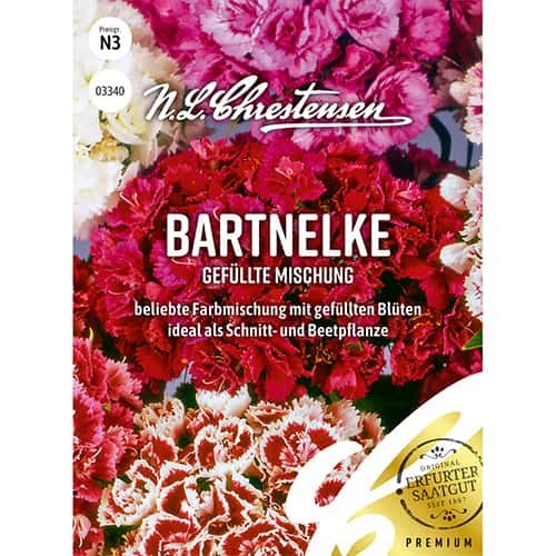 Bartnelke Gefüllte Mischung interface.art Bild 1 Bartnelke Gefüllte Mischung interface.image 1 interface.art 86122