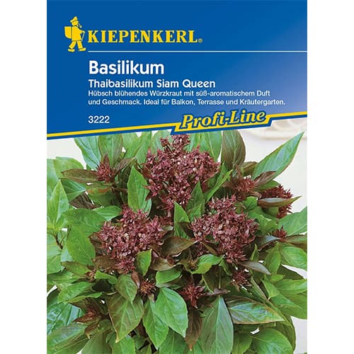 Basilikum Thaibasilikum Siam Queen interface.image 1 interface.art 96682