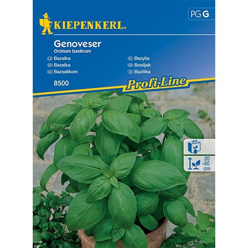 Basilikum Genoveser interface.image 1 interface.art 96592