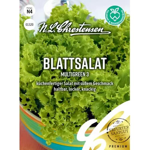 Blattsalat Multigreen 3 interface.art Bild 1 Blattsalat Multigreen 3 interface.image 1 interface.art 87828