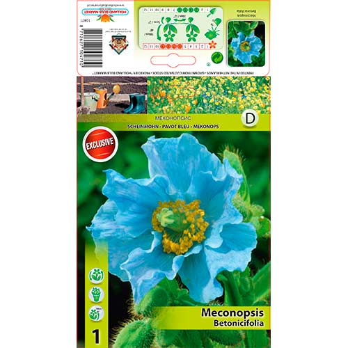 Blaublühender Scheinmohn interface.image 1 interface.art 76586