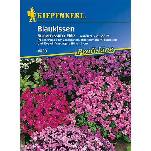 Blaukissen Superbissima Elite interface.art Bild 1 Blaukissen Superbissima Elite interface.image 1 interface.art 86256