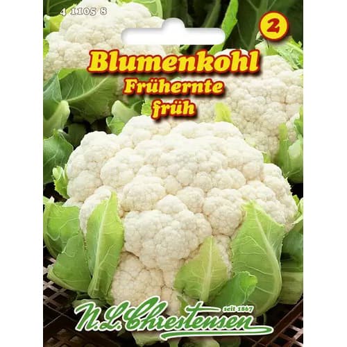 Blumenkohl Frühernte interface.art Bild 1 Blumenkohl Frühernte interface.image 1 interface.art 96465