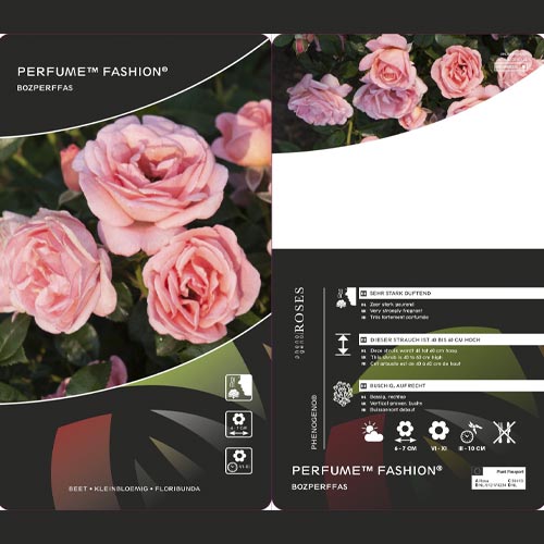 Beetrose Perfume Fashion®, C3 interface.art Bild 2 Beetrose Perfume Fashion®, C3 interface.image 2 interface.art 4978