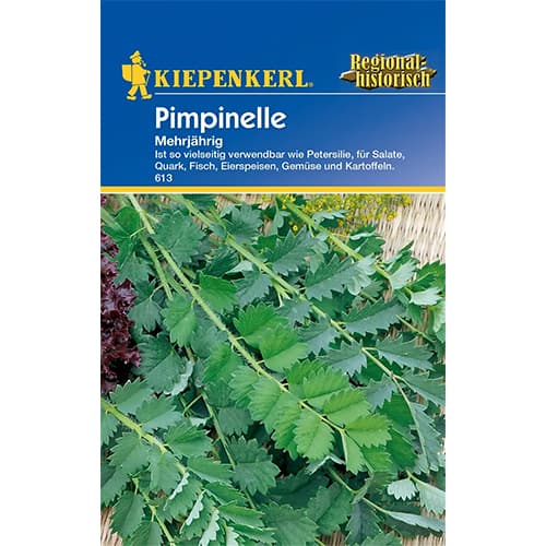 Pimpinelle interface.art Bild 1 Pimpinelle interface.image 1 interface.art 77435