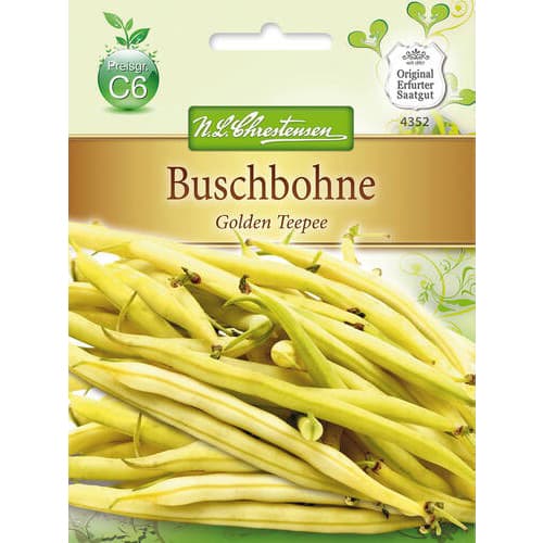 Buschbohne Golden Teepee interface.art Bild 1 Buschbohne Golden Teepee interface.image 1 interface.art 78818