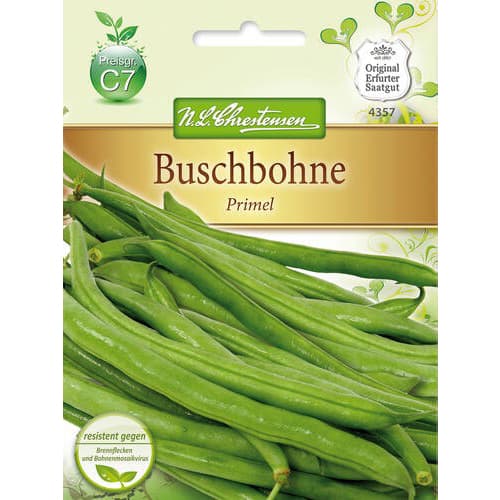 Buschbohne Primel interface.image 1 interface.art 78820