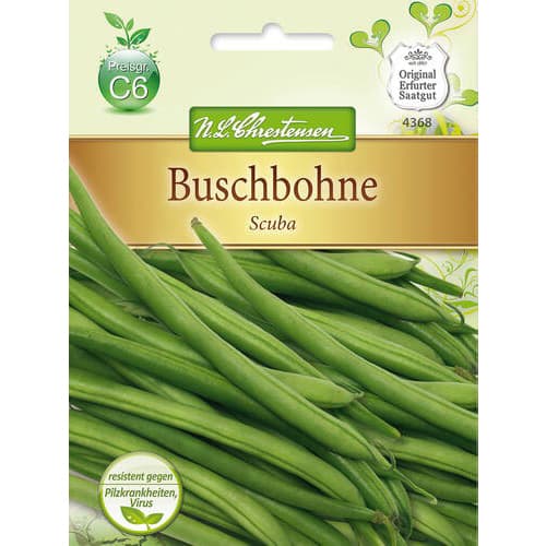 Buschbohne Scuba interface.image 1 interface.art 78825