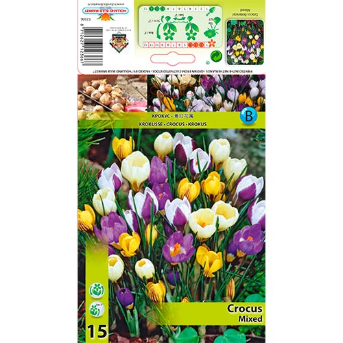 Botanischer Krokus, farbmischung interface.art Bild 1 Botanischer Krokus, farbmischung interface.image 1 interface.art 67333