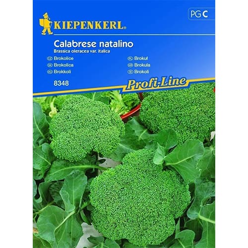 Brokkoli Calabrese natalino interface.art Bild 1 Brokkoli Calabrese natalino interface.image 1 interface.art 86396