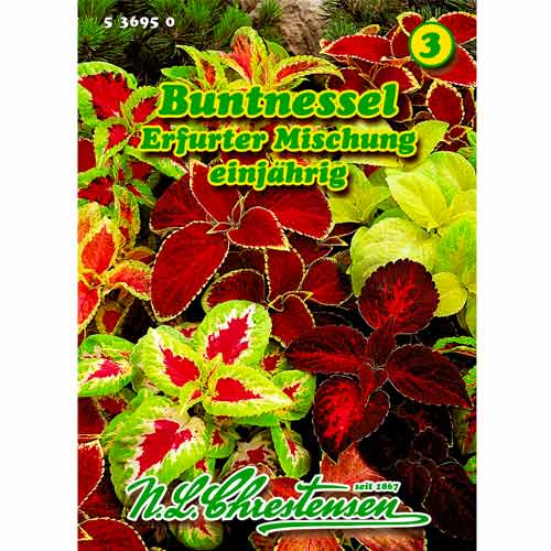 Buntnessel Erfurter Mischung Chrestensen  interface.art Bild 1 Buntnessel Erfurter Mischung Chrestensen  interface.image 1 interface.art 50026