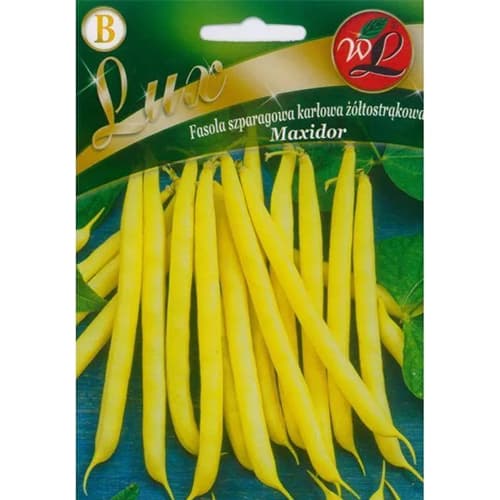 Buschbohne Maxidor Legutko interface.image 1 interface.art 96818