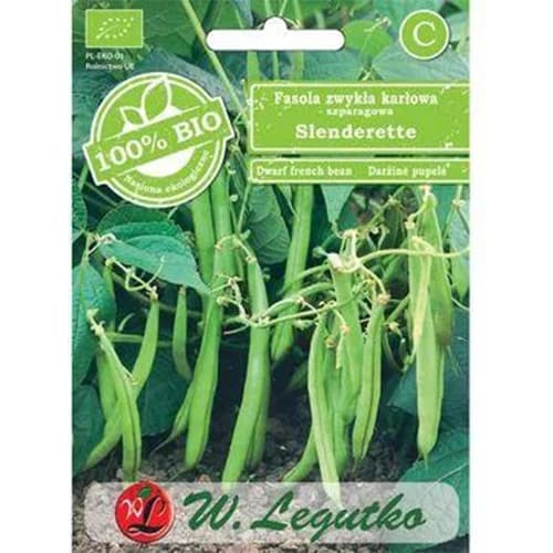 Buschbohne Slenderette interface.image 1 interface.art 96828