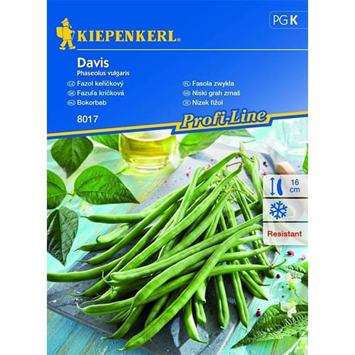 Buschbohne Davis interface.art Bild 1 Buschbohne Davis interface.image 1 interface.art 87274