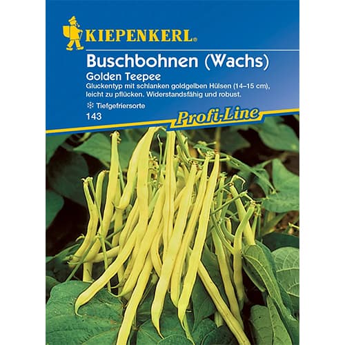 Buschbohne Golden Teepee Kiepenkerl interface.image 1 interface.art 86401