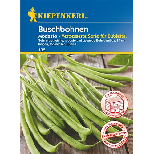 Buschbohne Modesto interface.image 1 interface.art 96602