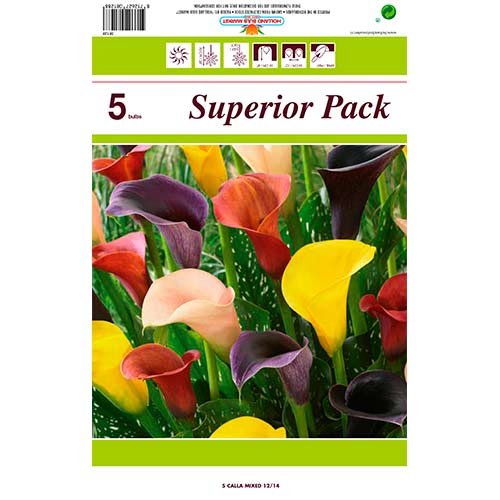 Calla, Farbmischung interface.image 1 interface.art 76396