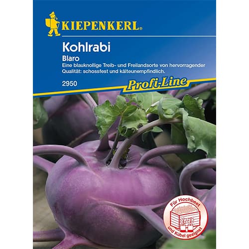 Kohlrabi Blaro interface.art Bild 1 Kohlrabi Blaro interface.image 1 interface.art 96622