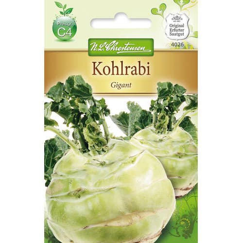 Kohlrabi Gigant interface.image 1 interface.art 78721