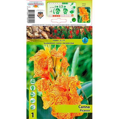 Canna Picasso interface.art Bild 1 Canna Picasso interface.image 1 interface.art 76198