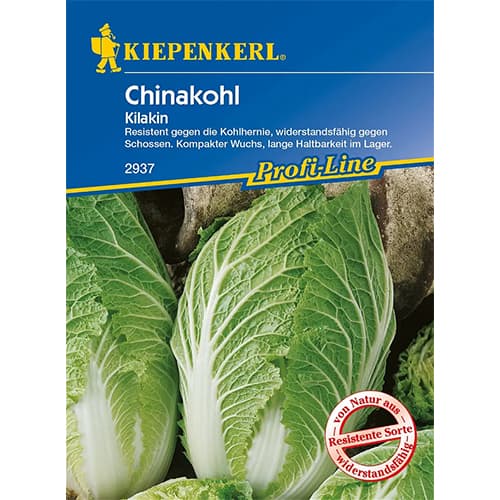 Chinakohl Kilakin interface.art Bild 1 Chinakohl Kilakin interface.image 1 interface.art 86428