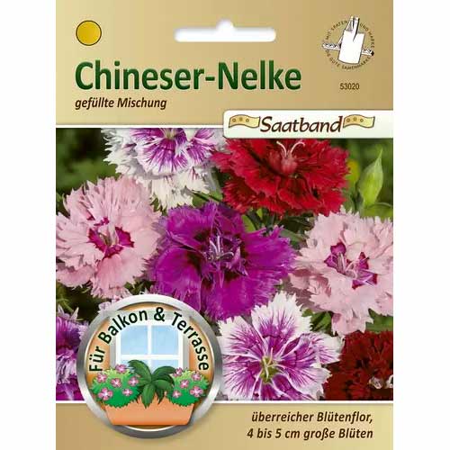 Chineser - Nelke Mischung Chrestensen  interface.art Bild 1 Chineser - Nelke Mischung Chrestensen  interface.image 1 interface.art 50028