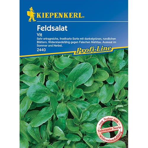 Feldsalat Vit interface.image 1 interface.art 77495