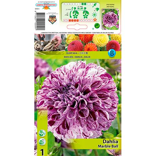 Dahlie Marble Ball interface.image 1 interface.art 76215