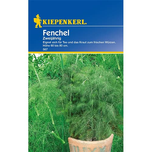 Fenchel Zweijährig interface.art Bild 1 Fenchel Zweijährig interface.image 1 interface.art 77472