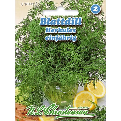 Blattdill Herkules Chrestensen interface.image 1 interface.art 86000